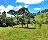 Terreno a Venda em Sapuca� Mirim - Sul de Minas - Serra da Mantiqueira
