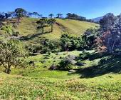 Terreno a Venda - Sapuca Mirim - Sul de Minas - Serra da Mantiqueira