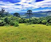 Terreno a Venda - Paraisopolis - Sul de Minas - Serra da Mantiqueira